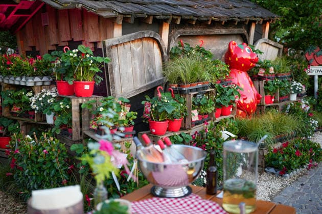 VIP evening at Gertrudenhof Strawberry Park VIP evening at Gertrudenhof Strawberry Park on 08 05 2026 in Huerth Hürth Gertrudenhof Strawberry Park North Rhine-Westphalia