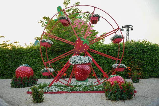 VIP evening at Gertrudenhof Strawberry Park VIP evening at Gertrudenhof Strawberry Park on 08 05 2026 in Huerth Hürth Gertrudenhof Strawberry Park North Rhine-Westphalia
