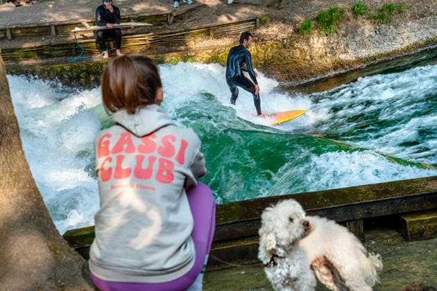 Die berühmte Surfwelle iläuft wieder und Surfen ist ab sofort wieder legal, Surfer auf der Eisbachwelle, Zuschauerin mit Pudel am Ufer, Freitagabend, München, 8. Mai 2026 Deutschland, München, 8. Mai 2026, Surfer auf der Eisbachwelle am Freitagabend, Zuschauerin mit Pudel am Ufer, die berühmte Surfwelle läuft wieder und das Surfen ist ab sofort wieder legal, der neue Münchner Oberbürgermeister Dominik Krause hat heute Nachmittag mit einer Allgemeinverfügung das geltende Surfverbot aufgehoben, viele Surfer freuen sich über die Rückkehr der Welle, die Surfwelle ist seit einigen Tagen wie durch ein Wunder wieder da, Spekulation: durch höheren Wasserstand und eine bessere Strömung hat sich die perfekte Welle wohl von selbst wieder