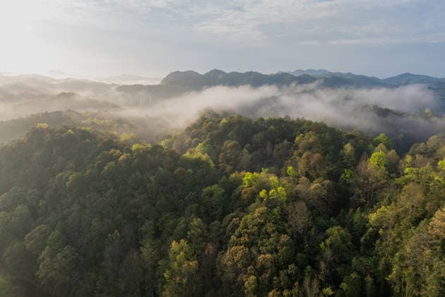 Ein nebliger Morgen hüllt die üppig grünen Hügel ein Ein nebliger Morgen hüllt die üppig grünen Hügel ein (License=RF) Copyright: xZoonar.com StanislavxSablinx 25029321