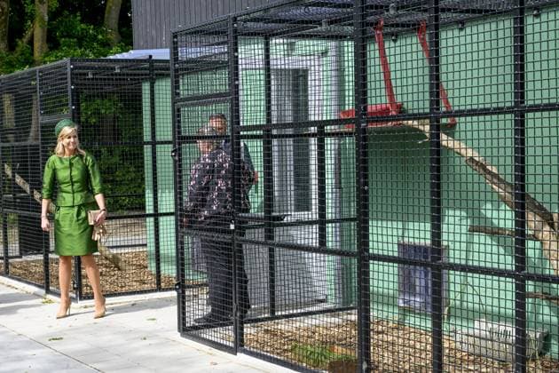 Almere, The Netherlands, 2026-05-12 11:46:48 ALMERE, 12-05-2026, Stichting AAP Queen Maxima opens the new Mammal Building of Stichting AAP in Almere. In this building, various species of exotic mammals are housed in a living environment that better meets their natural needs, with more spacious, professional care and an adapted climate. PHOTO: NLBeeld Patrick van Emst Credit: NL Beeld Patrick van Emst  Copyright: xx x