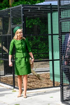 Queen opens the new Mammal Building of the AAP Foundation. Almere, the Netherlands. 12 May 2026 Queen Maxima during a visit to the new Mammal Building of the AAP Foundation. In this building, various types of exotic mammals are accommodated in a living environment that better suits their natural needs. Almere The Netherlands  Copyright: xDPPA POOL PatrickxvanxEmstx