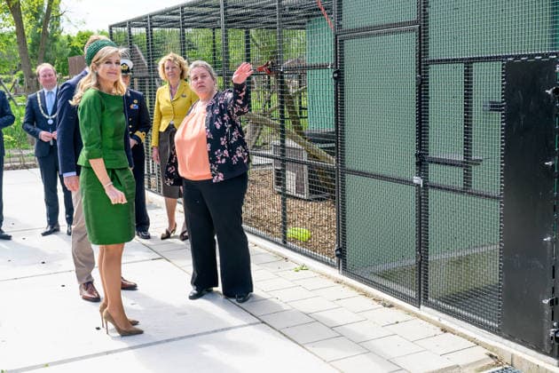 Queen opens the new Mammal Building of the AAP Foundation. Almere, the Netherlands. 12 May 2026 Queen Maxima during a visit to the new Mammal Building of the AAP Foundation. In this building, various types of exotic mammals are accommodated in a living environment that better suits their natural needs. Almere The Netherlands  Copyright: xDPPA POOL PatrickxvanxEmstx