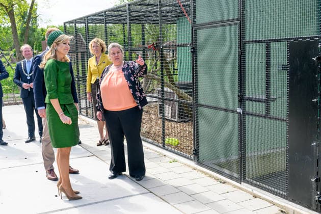 Queen opens the new Mammal Building of the AAP Foundation. Almere, the Netherlands. 12 May 2026 Queen Maxima during a visit to the new Mammal Building of the AAP Foundation. In this building, various types of exotic mammals are accommodated in a living environment that better suits their natural needs. Almere The Netherlands  Copyright: xDPPA POOL PatrickxvanxEmstx