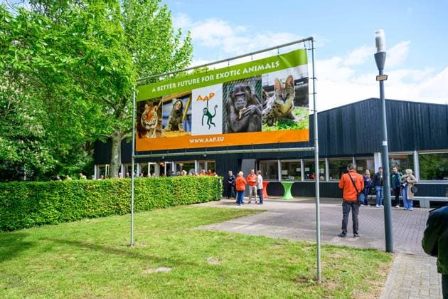 Queen opens the new Mammal Building of the AAP Foundation. Almere, the Netherlands. 12 May 2026 Queen Maxima during a visit to the new Mammal Building of the AAP Foundation. In this building, various types of exotic mammals are accommodated in a living environment that better suits their natural needs. Almere The Netherlands  Copyright: xDPPA POOL PatrickxvanxEmstx