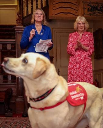 Image Licensed to Parsons Media. 12 05 2026. London, United Kingdom. The Queen- Reception for Medical Detection Dogs. Her Majesty The Queen, as Patron of Medical Detection Dogs, hosts a reception at Clarence House.  Copyright: xAndrewxParsonsx xParsonsxMediax PAR-9207-0001