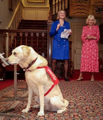 Image Licensed to Parsons Media. 12 05 2026. London, United Kingdom. The Queen- Reception for Medical Detection Dogs. Her Majesty The Queen, as Patron of Medical Detection Dogs, hosts a reception at Clarence House.  Copyright: xAndrewxParsonsx xParsonsxMediax PAR-9207-0004
