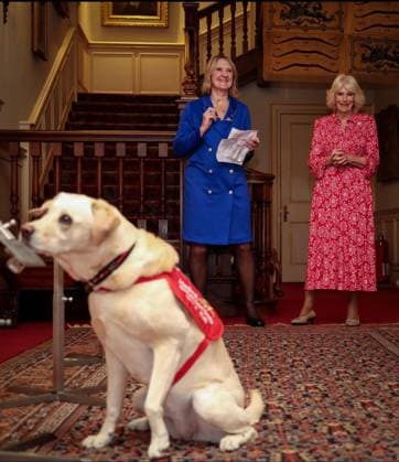 Image Licensed to Parsons Media. 12 05 2026. London, United Kingdom. The Queen- Reception for Medical Detection Dogs. Her Majesty The Queen, as Patron of Medical Detection Dogs, hosts a reception at Clarence House.  Copyright: xAndrewxParsonsx xParsonsxMediax PAR-9207-0007