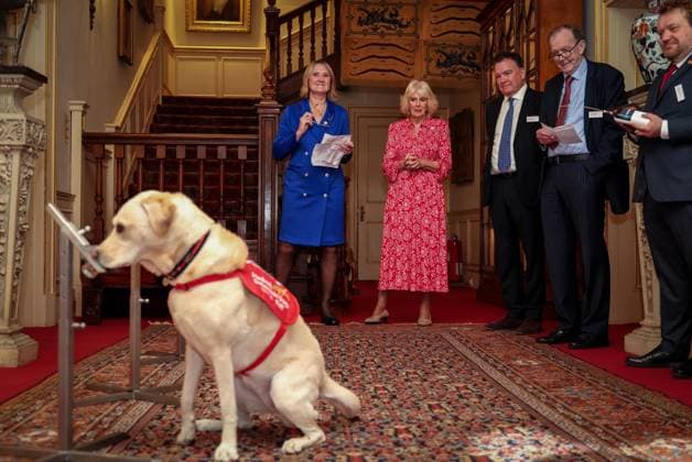 Image Licensed to Parsons Media. 12 05 2026. London, United Kingdom. The Queen- Reception for Medical Detection Dogs. Her Majesty The Queen, as Patron of Medical Detection Dogs, hosts a reception at Clarence House.  Copyright: xAndrewxParsonsx xParsonsxMediax PAR-9207-0008