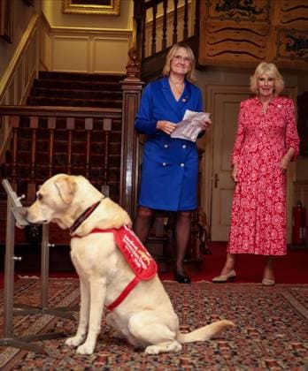 Image Licensed to Parsons Media. 12 05 2026. London, United Kingdom. The Queen- Reception for Medical Detection Dogs. Her Majesty The Queen, as Patron of Medical Detection Dogs, hosts a reception at Clarence House.  Copyright: xAndrewxParsonsx xParsonsxMediax PAR-9207-0011