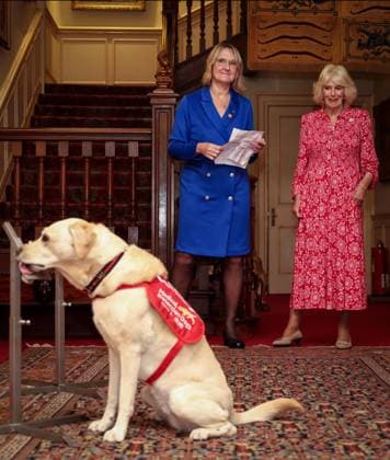 Image Licensed to Parsons Media. 12 05 2026. London, United Kingdom. The Queen- Reception for Medical Detection Dogs. Her Majesty The Queen, as Patron of Medical Detection Dogs, hosts a reception at Clarence House.  Copyright: xAndrewxParsonsx xParsonsxMediax PAR-9207-0012