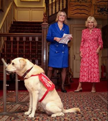 Image Licensed to Parsons Media. 12 05 2026. London, United Kingdom. The Queen- Reception for Medical Detection Dogs. Her Majesty The Queen, as Patron of Medical Detection Dogs, hosts a reception at Clarence House.  Copyright: xAndrewxParsonsx xParsonsxMediax PAR-9207-0013