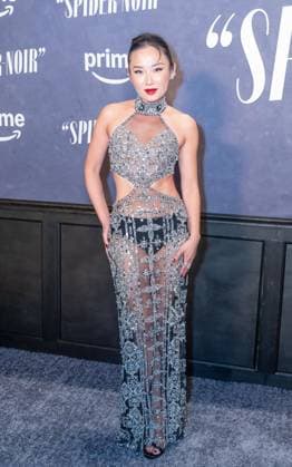 May 13, 2026, Bronx, New York, USA: New York, NY, USA, May 13, 2026: Li Jun Li wearing dress by Patricia Bonaldi for PatBo attends world premiere of Amazon Prime Video s Spider Noir at Regal Times Square. Bronx USA - ZUMAr339 20260513_znp_r339_060 Copyright: xLevxRadinx