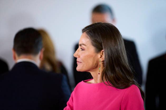 May 14, 2026, Madrid, Madrid, Spain: Queen Letizia of Spain attends Opening of the 17th Ibero-American Conference of Health Ministers at Royal Theatre on May 14, 2026 in Madrid, Spain Madrid Spain  - ZUMAg15_ 20260514_zaf_g15_016 Copyright: xJackxAbuinx