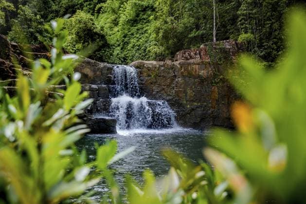 Khlong-Yai-Kee-Wasserfall, tropische Insel, grüner Wald, Nationalpark, Dschungel, Regenwald, Koh Kood, Ko Kut, Provinz Trat, Thailand, Südostasien Khlong Yai Kee Waterfall, tropical island, green forest, national park, jungle, rainforest, Koh Kood, Ko Kut, Trat province, Thailand, Southeast Asia Copyright: imageBROKER TobiasxFabianxHuinin ibltnh17689756.jpg