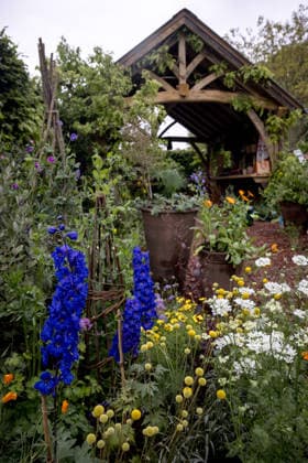 Chelsea Flower Show 15 05 2026 RHS and The King s Foundation Curious Garden designed by Frances Tophill at the RHS Chelsea Flower Show, in London  Copyright: xJackxTaylorx NINTCHDBPICT001080985139