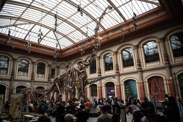 (260518) -- BERLIN, May 18, 2026 -- People visit the Museum of Natural History in Berlin, Germany, May 17, 2026. Museums in Berlin opened to the public free of charge on Sunday in celebration of the upcoming International Museum Day. ) GERMANY-BERLIN-INT L MUSEUM DAY-MUSEUM-FREE ADMISSION ZhangxHaofu 