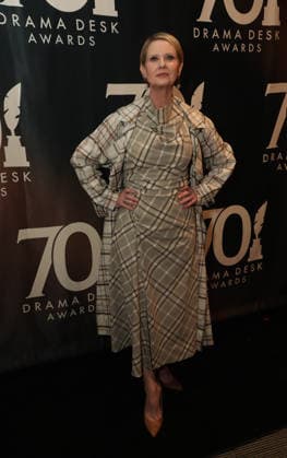 May 17, 2026, New York, Ny, USA: CYNTHIA NIXON attends the 2026 Annual Drama Desk Awards Red Carpet Arrivals,.The Algonquin Hotel, NYC.May 17, 2026. New York USA - ZUMAms4_ 20260517_faf_ms4_010 Copyright: xSoniaxMoskowitzxGordonx