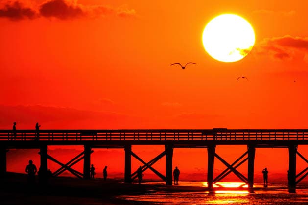 May 18, 2026, Isle Of Palms, Sc, United States: Beachgoers silhouetted by the sunrise and framed by the fishing pier on Front Beach, May 18, 2026 in Isle of Palms, South Carolina. Isle Of Palms United States - ZUMAe02_ 20260518_zaf_e02_008 Copyright: xRichardxEllisx