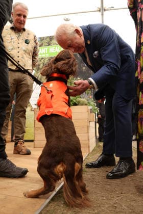King Charles III attends the 2026 RHS Chelsea Flower Show Britain s King Charles III on the press day ahead of the 2026 RHS Chelsea Flower Show in London on May 18, 2026., Credit:ADRIAN DENNIS PA ROTA - B68 Avalon United Kingdom, London  Copyright: xADRIANxDENNISx xPAxROTAx-xB68x xAvalonx 1100160359