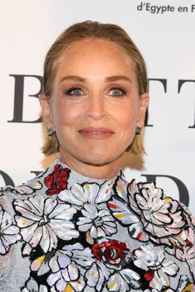 Cannes - Better World Fund Party Sharon Stone attends The Better World Fund Gala Cannes 2026 on May 18, 2026 in Cannes, France. Photo by Lionel Urman ABACAPRESS.COM Cannes France  Copyright: xUrmanxLionel ABACAx