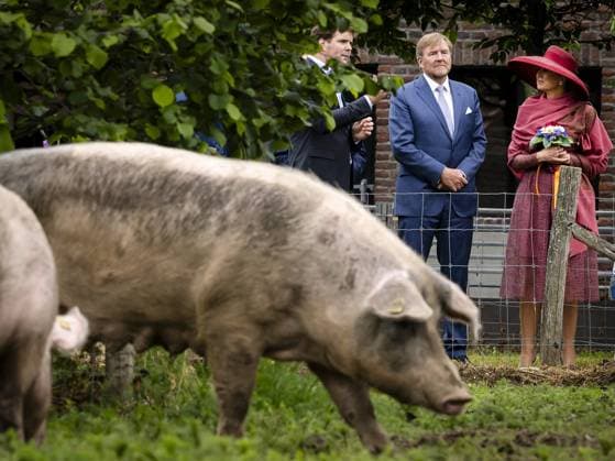 ECHT - King Willem-Alexander and Queen Maxima during a visit to Lilbosch Abbey as part of the regional visit to the municipalities of Maasgouw, Echt-Susteren, Roerdalen, and Roermond. REMKO DE WAAL ANP netherlands out - belgium out  Copyright: xx x558741634x originalFilename: 558741634.jpg