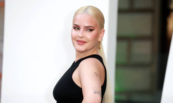 The 2022 Royal Academy of Arts Summer Exhibition Preview Party. Anne-Marie attends The Royal Academy of Arts Summer Exhibition Preview Party at Burlington House, London, England on 15 June 2022. London Burlington House UK Copyright: xFredxDuvalx