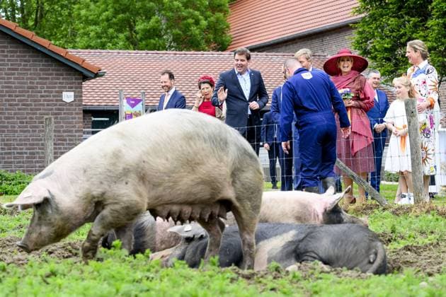 Illikhoven, The Netherlands, 2026-05-19 12:02:40 ILLIKHOVEN, 19-05-2026 King Willem Alexander and Queen Maxima during a regional visit to the municipalities of Maasgouw, Echt-Susteren, Roerdalen, and Roermond. PHOTO: NLBeeld Patrick van Emst In the photo: The Royal Couple visits the village of Illikhoven in the municipality of Echt-Susteren. This is the narrowest part of the Netherlands, where the land is less than five kilometers wide, situated between Belgium and Germany. Here they speak with representatives of the police, a dike guard, and organizations from the border region, among others. Subsequently, the Royal Couple visits Lilbosch Abbey. Credit: NL Beeld Patrick van Emst Copyright: xx x
