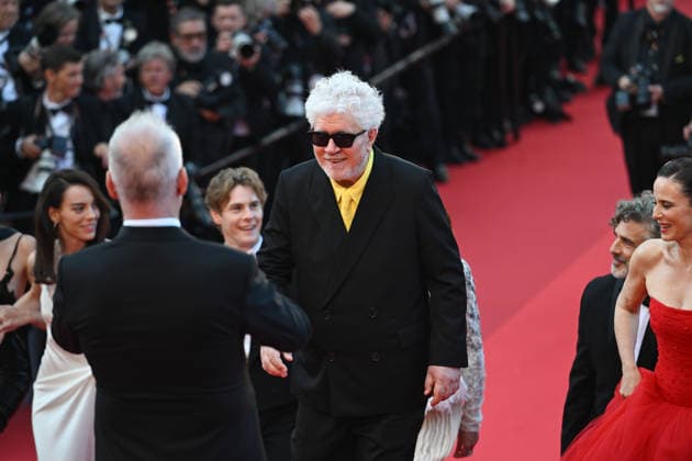 79ème Festival International du Film de Cannes Montée des marches du film Amarga Navidad 79th International Cannes Film Festival Red Carpet for Amarga Navidad movie 456441 2026 05 19 Almodovar, Pedro  Copyright: xSergexArnalx xStarfacex STAR_456441_030