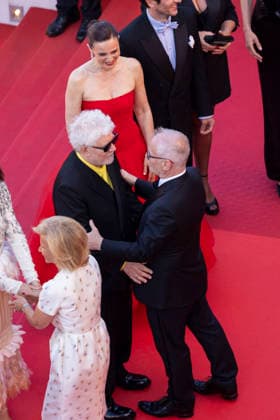 Pedro Almodovar, Thierry Frémaux Montée des marches du film Amarga Navidad lors du 79ème Festival International du Film de Cannes, le 19 mai 2026 Camilla Canalini Bestimage Red carpet for Amarga Navidad at the 79th Cannes International Film Festival on May 19, 2026 Cannes France  Copyright: xCamillaxCanalinix xBestimagexCamillaxCanalinix xBestimagex