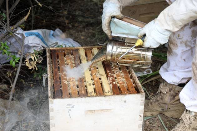 (260520) -- BAGHDAD, May 20, 2026 -- A beekeeper clears a beehive at his apiary on the outskirts of Baghdad, Iraq, on May 20, 2026. The World Bee Day, which is observed on May 20 annually, was declared by the UN General Assembly in 2017. ) IRAQ-BAGHDAD-BEEKEEPER-WORLD BEE DAY KhalilxDawood 