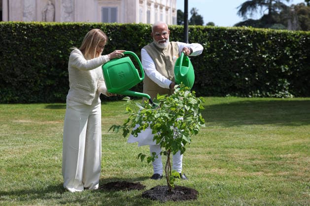 IPA84899185 - Rome, Italy May 20, 2026: Giorgia Meloni with Narendra Modi plant a black mulberry tree donated by Indian Prime Minister . Prime Minister Giorgia Meloni meets with Prime Minister of India Narendra Modi to further strengthen the strategic partnership between Italy and India at Villa Doria Pamphilj for a discussion on economy, innovation, energy and international cooperation.  Copyright: xmarcoxiacobuccix xmarcoxiacobuccix 84899185