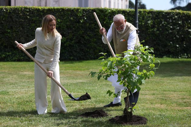 IPA84899052 - Rome, Italy May 20, 2026: Giorgia Meloni with Narendra Modi plant a black mulberry tree donated by Indian Prime Minister . Prime Minister Giorgia Meloni meets with Prime Minister of India Narendra Modi to further strengthen the strategic partnership between Italy and India at Villa Doria Pamphilj for a discussion on economy, innovation, energy and international cooperation.  Copyright: xmarcoxiacobuccix xmarcoxiacobuccix 84899052