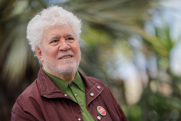 79ème Festival International du Film de Cannes photocall Amarga Navidad 79th International Cannes Film Festival photocall Amarga Navidad with Pedro Almodovar 456499 2026 05 20  Copyright: xLionelxGuericolas MPPx STAR_456499_007