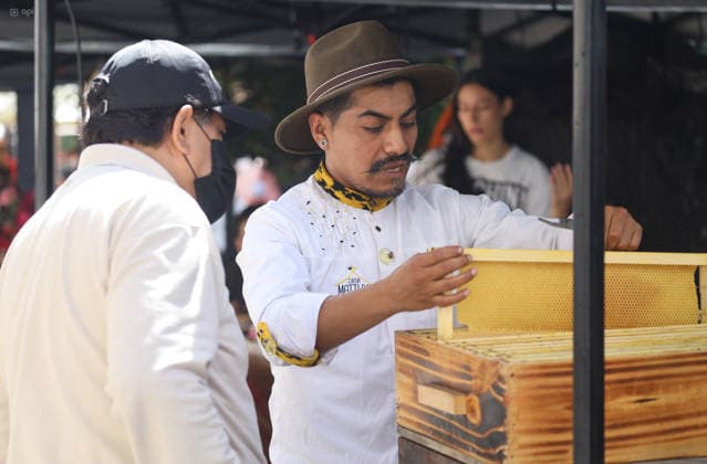 CUENCA COLMENA FEST 2026 Cuenca,Ecuador May 20, 2026 The third edition of Colmena Fest 2026 is being held in the park of flowers in Cuenca from May 20 to 23, 2026 This gastronomic, handicraft and productive festival seeks to commemorate World Bee Day and promote sustainable beekeeping in the region photo Boris Romoleroux API SOI CUENCA COLMENAFEST2026 798d55b9a84cb930ea67b81388ac9deb Copyright: xBORISxROMOLEROUXx