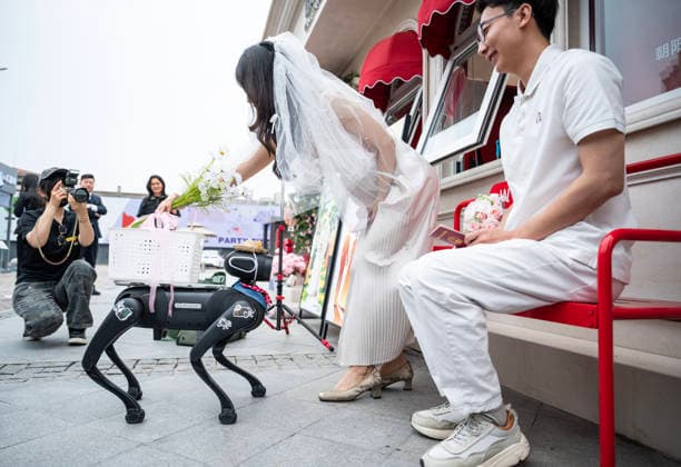 BEIJING, CHINA - MAY 20: A newly-wed couple receive flower bouquets presented by a robotic dog at the marriage registration office during 520 I Love You Day on May 20, 2026 in Beijing, China. Chinese people celebrate 520 I Love You Day as 520 sounds like I love you in Chinese.  Copyright: xChinaxNewsxServicex 111642862027