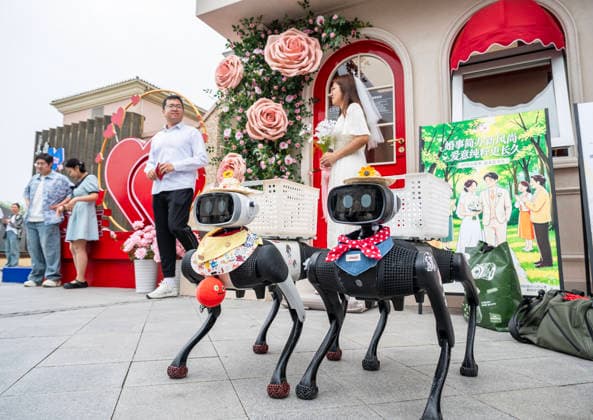 BEIJING, CHINA - MAY 20: A newly-wed couple pose for a photo accompanied by robotic dogs at the marriage registration office during 520 I Love You Day on May 20, 2026 in Beijing, China. Chinese people celebrate 520 I Love You Day as 520 sounds like I love you in Chinese.  Copyright: xChinaxNewsxServicex 111642862049