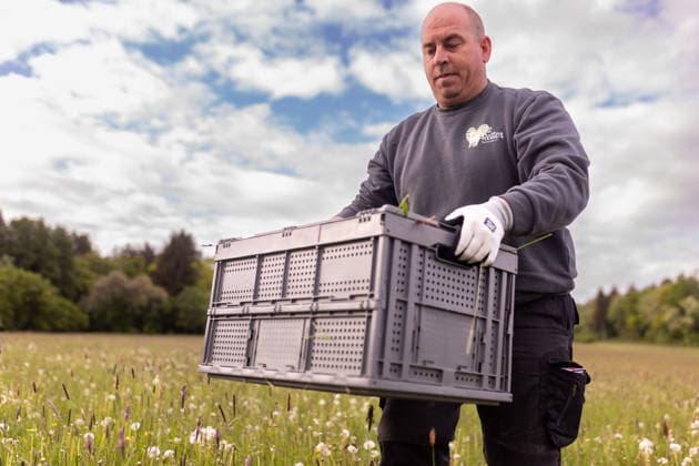 Zollernalb, Kitzrettung mit dem Kitz-Retter Neckar-Alb e.V., 21.05.2026 Ein Helfer der Kitzretter traegt eine Box mit einem Rehkitz von einer Wiese *** Zollernalb, fawn rescue with the Kitz Retter Neckar Alb e V , 21 05 2026 A helper of the fawn rescuers carries a box with a fawn from a meadow