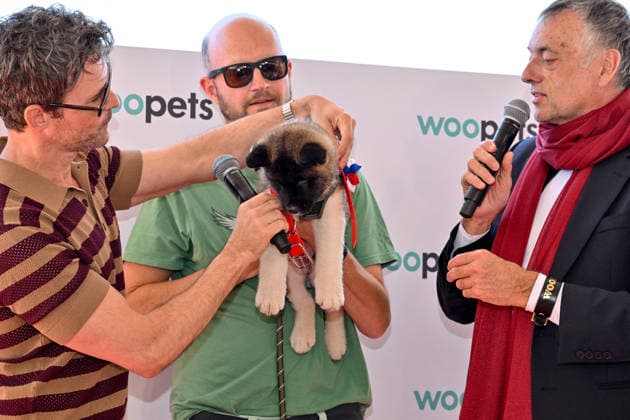 Cannes - Palm Dog Ceremony A dog wins a prize while attending the Palm Dog Ceremony ahead of the 79th Cannes Film Festival in Cannes, France on May 22, 2026. Photo by Julien Reynaud APS-Medias ABACAPRESS.COM Cannes France  Copyright: xReynaudxJulien APS-Medias ABACAx