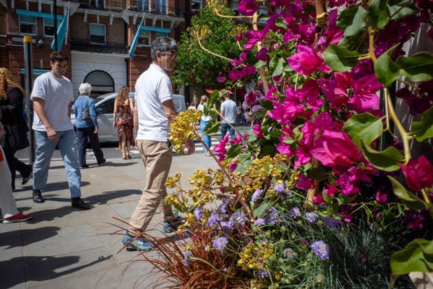May 22, 2026, London, United Kingdom: Members of the public inspect floral displays during the RHS Chelsea Flower Show. After several days of unsettled weather, large crowds gathered along Sloane Street and the surrounding areas on the penultimate day of the 2026 RHS Chelsea Flower Show to view the elaborate floral displays created for the annual event. Visitors lined the streets of Chelsea as retailers, hotels and restaurants unveiled large-scale made from fresh flowers and plants, continuing a tradition that has become closely associated with the world-famous horticultural show. London United Kingdom - ZUMAs197 20260522_aaa_s197_014 Copyright: xJamesxWilloughbyx