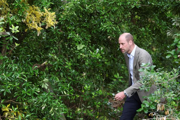 Britain s Prince William visits Isles of Scilly Britain s Prince William, The Duke of Cornwall, arrives to replant a shelterbelt tree to help replace those trees lost to Storm Goretti in January 2026, in St Mary s, Isles of Scilly, Britain, May 22, 2026., Credit:Hannah McKay PA ROTA - B68 Avalon UNITED KINGDOM, ISLES OF SCILLY  Copyright: xHannahxMcKayx xPAxROTAx-xB68x xAvalonx 1104151071