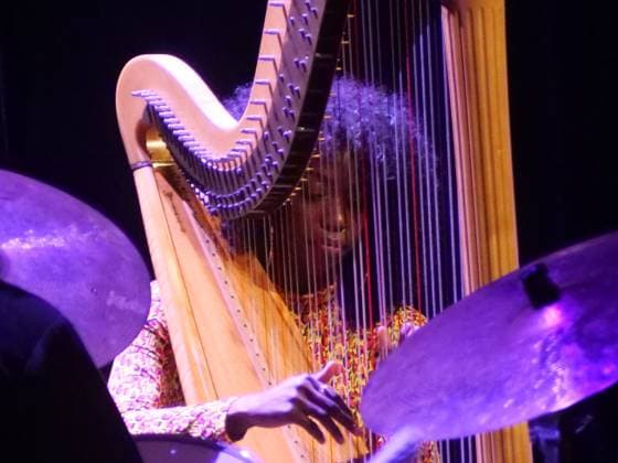 RECORD DATE NOT STATED American singer Brandee Younger will perform at the C6 Fest in the Ibirapuera Auditorium in Sao Paulo. Sao Paulo (SP), 05 22 2026 Music C6 Fest 2026 American harpist Brandee Younger performs during C6 Fest 2026, at the Ibirapuera Auditorium, in Sao Paulo, this Friday (22). Recognized for mixing contemporary jazz, soul and experimental music, the artist is one of the highlights of the festival s program.(Foto: Fabricio Bomjardim Thenews2 imago images) American singer Brandee Younger will perform at the C6 Fest in the Ibirapuera Auditorium in Sao Paulo.  Copyright: xFabricioxBomjardimx