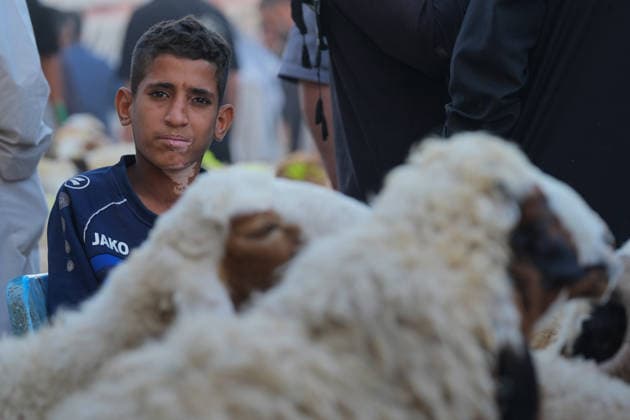 Bustling livestock markets in Baghdad witness rush ahead of Eid al-Adha BAGHDAD, IRAQ - MAY 23: Citizens inspect livestock at a cattle and sheep market ahead of the upcoming Eid al-Adha in the Nahrawan region southeast of Baghdad, Iraq, on May 23, 2026. Murtadha Al-Sudani Anadolu Baghdad Iraq. Editorial use only. Please get in touch for any other usage.  Copyright: x2026xAnadoluxMurtadhaxAl-Sudanix