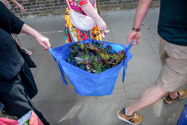 May 23, 2026, London, United Kingdom: Members of the public carries flowers from the last day of the RHS Chelsea Flower Show. Members of the public leave the Chelsea Flower Show carrying flowers, plants, and garden ornaments purchased from the exhibition displays on the event™s final day. As the famous horticultural showcase drew to a close, visitors were seen transporting blooms, shrubs and decorative items through the streets of Chelsea after buying pieces from the award-winning gardens and floral exhibits. London United Kingdom - ZUMAs197 20260523_aaa_s197_512 Copyright: xJamesxWilloughbyx
