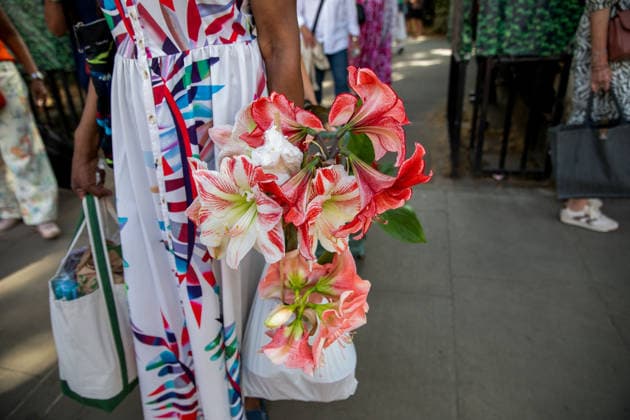 May 23, 2026, London, United Kingdom: A visitor to the last day of the RHS Chelsea Flower Show stands holding a flower display. Members of the public leave the Chelsea Flower Show carrying flowers, plants, and garden ornaments purchased from the exhibition displays on the event™s final day. As the famous horticultural showcase drew to a close, visitors were seen transporting blooms, shrubs and decorative items through the streets of Chelsea after buying pieces from the award-winning gardens and floral exhibits. London United Kingdom - ZUMAs197 20260523_aaa_s197_503 Copyright: xJamesxWilloughbyx