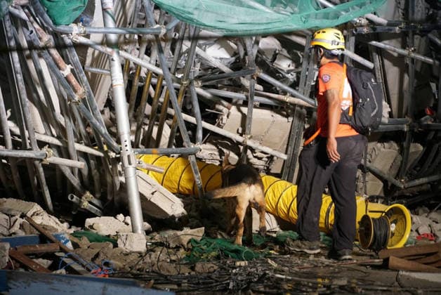 (260525) -- MANILA, May 25, 2026 -- A rescuer searches for survivors with a search and rescue dog at the site of a collapsed building in Angeles City, Pampanga province, the Philippines, May 24, 2026. Four people were confirmed dead after a building collapsed before dawn Sunday in Angeles City in northern Philippines Pampanga province, as search and rescue operations continue for 17 missing people, authorities said Monday. ( Handout via Xinhua) (SpotNews) PHILIPPINES-PAMPANGA-ANGELES-BUILDING COLLAPSE BureauxofxFirexProtectionxCentralxLuzon 