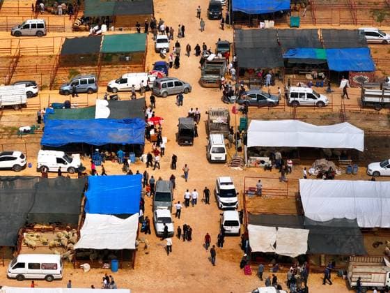 Preparations continue at livestock markets in Gaziantep ahead of Eid al-Adha GAZIANTEP, TURKIYE - MAY 25: An aerial view of livestock markets ahead of Eid al-Adha in Gaziantep, Turkiye on May 25, 2026. Omer Faruk Salman Anadolu Gaziantep Turkey. Editorial use only. Please get in touch for any other usage.  Copyright: x2026xAnadoluxOmerxFarukxSalmanx