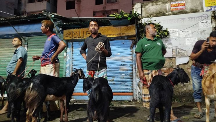 May 26, 2026, Dhaka, Bangladesh: Livestock Vendors wait for customers on a roadside ahead of the Muslim festival Eid al-Adha in Dhaka. Dhaka Bangladesh  - ZUMAh143 20260526_aap_h143_003 Copyright: xMDxMehedixHasanx