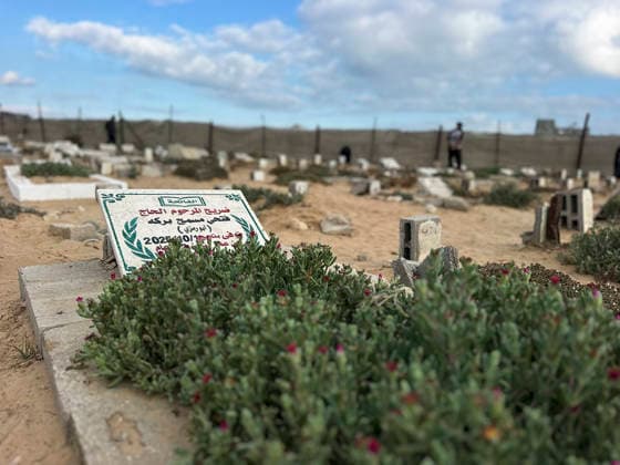Eid Al Adha Cemetery Memorial Khan Yunis A view shows a grave marker surrounded by plants during Eid al-Adha at a cemetery in Khan Yunis, Gaza Strip, on May 27, 2026. Eid al-Adha, or the Feast of Sacrifice, is one of the most important holidays in the Islamic calendar, commemorating the willingness of Prophet Ibrahim to sacrifice his son. The event is traditionally marked worldwide by communal prayers, family gatherings, acts of charity, and the slaughtering of livestock. In Gaza, the ongoing conflict has significantly impacted traditional observances, leading to residents substituting fresh livestock with frozen meat and visiting the graves of those killed during the war. Khan Yunis Gaza Strip Palestinian Territories Copyright: xDoaaxAlbazx