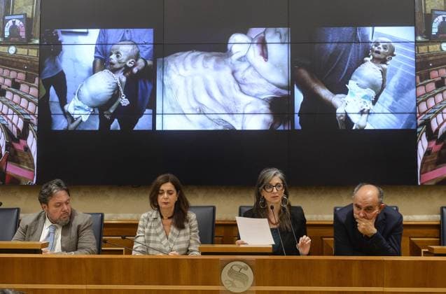 Foto IPP Marco Mattei Roma 29 05 2026 Senato presentazione del rapporto della relatrice speciale ONU sui territori palestinesi occupati, nella foto Dario Carotenuto Laura Boldrini Francesca Albanese Peppe De Cristofaro sullo sfondo immagini da Gaza Italy Photo Press - World Copyright . *** Photo IPP Marco Mattei Rome 29 05 2026 Senate presentation of the report of the UN special rapporteur on the occupied Palestinian territories, pictured Dario Carotenuto Laura Boldrini Francesca Albanese Peppe De Cristofaro in the background images from Gaza Italy Photo Press World Copyright 